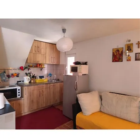 Kuca Drincic * Kopaonik