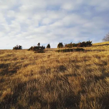 Casa vacanze Kuca Drincic *