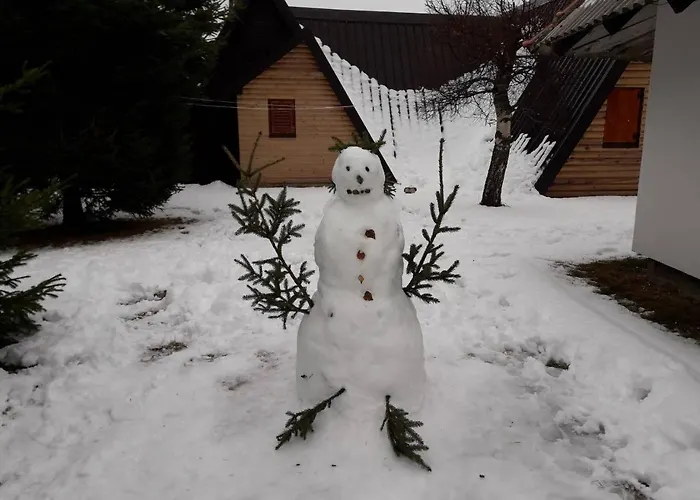 Kuca Drincic بيت للعطل *