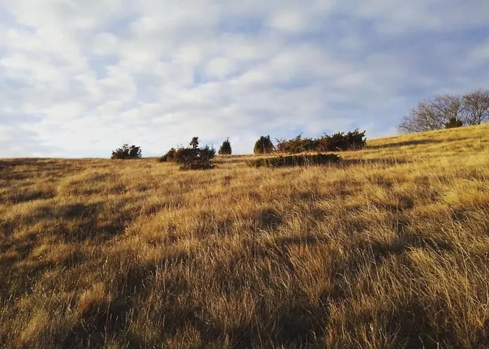 بيت للعطل Kuca Drincic *